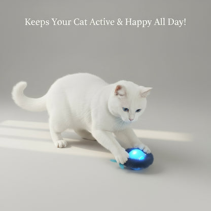 Smart Interactive Cat Toy – Plush Rolling Ball